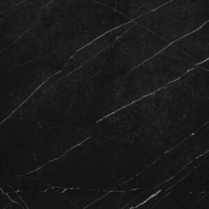 Black Venato